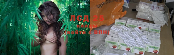 стаф Богданович