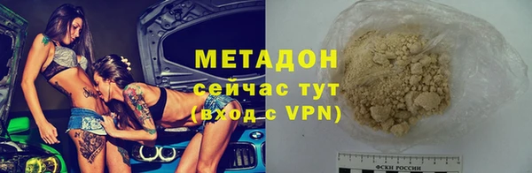 стаф Богданович