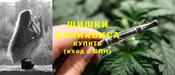 стаф Богданович