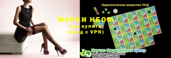 стаф Богданович