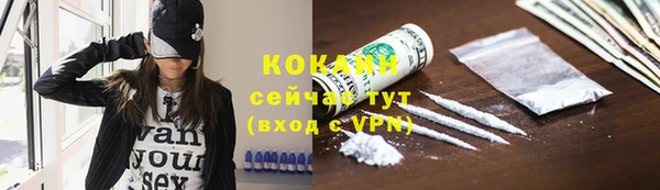 стаф Богданович