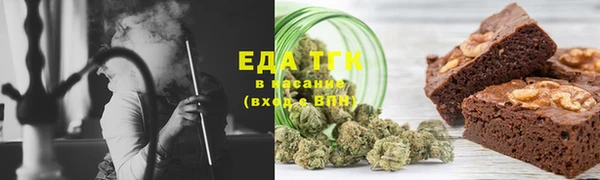 стаф Богданович