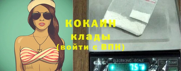 стаф Богданович