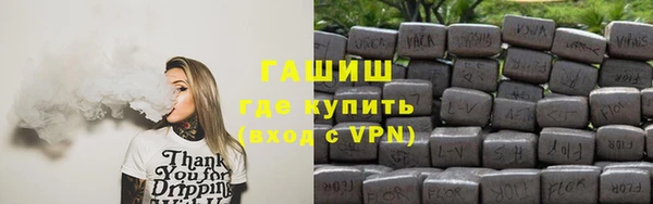 стаф Богданович