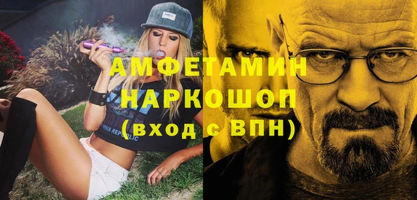стаф Богданович