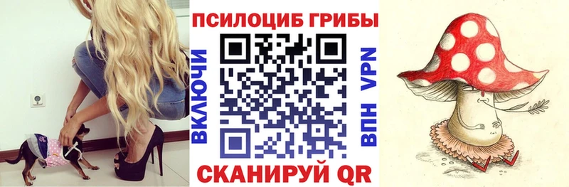 Галлюциногенные грибы GOLDEN TEACHER  Купить закладки  Камышлов 